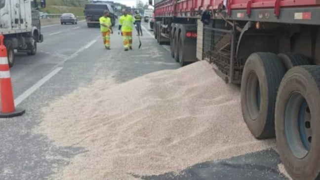 Carreta após acidente com soja na pista da rodovia