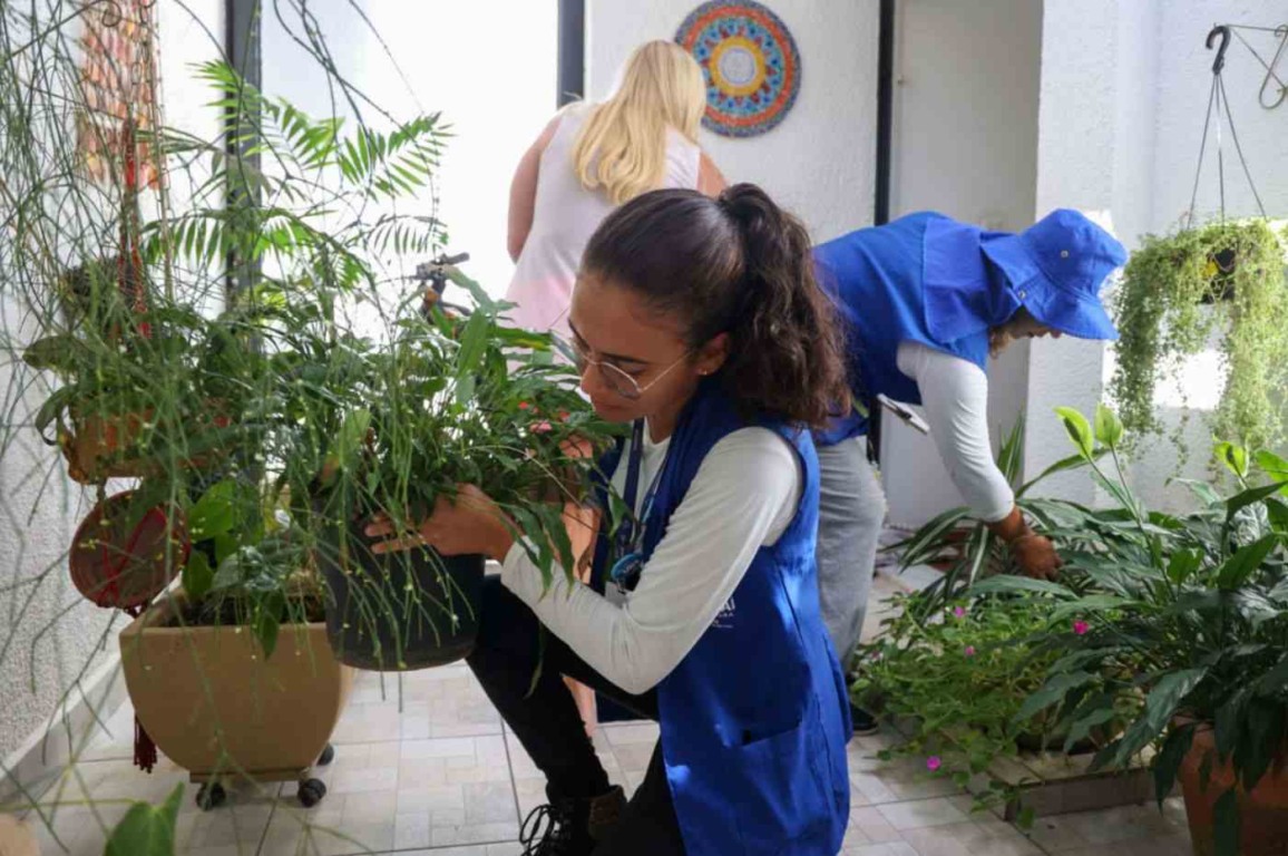 Prefeitura de Jundiaí publica decreto de emergência para dengue Prefeitura de Jundiaí publica decreto de emergência para dengue