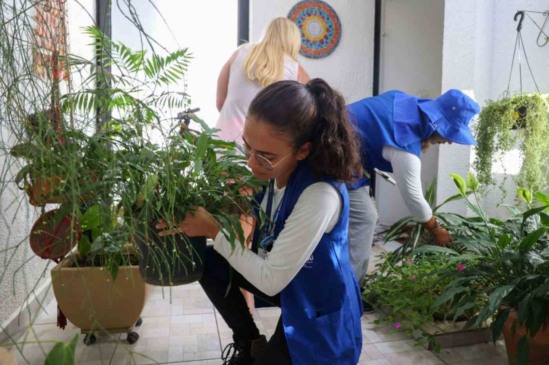 Prefeitura de Jundiaí publica decreto de emergência para dengue