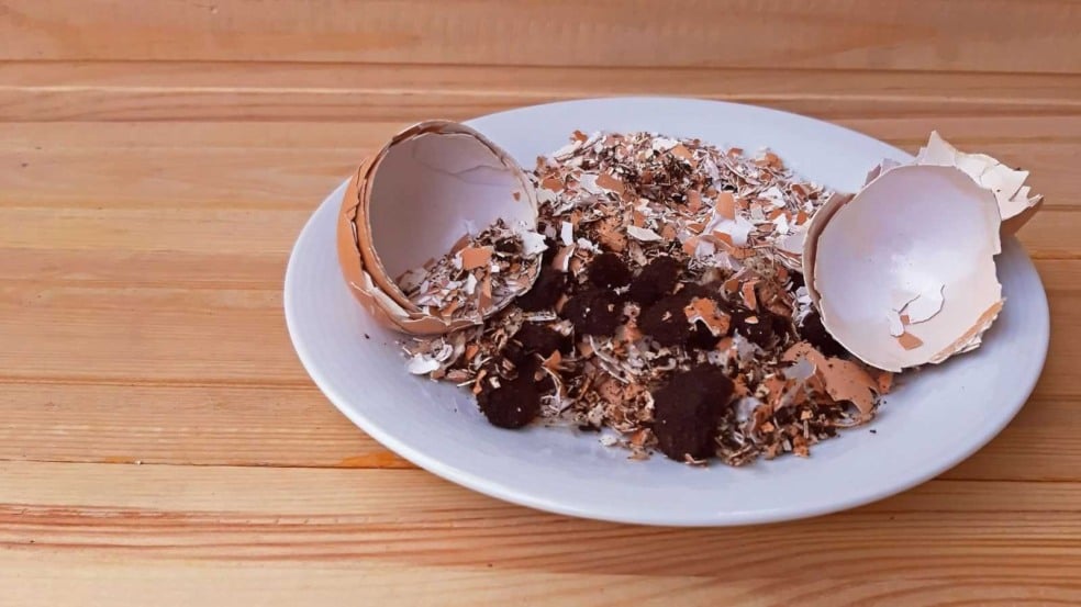 (Foto: Gheorhge/Canva