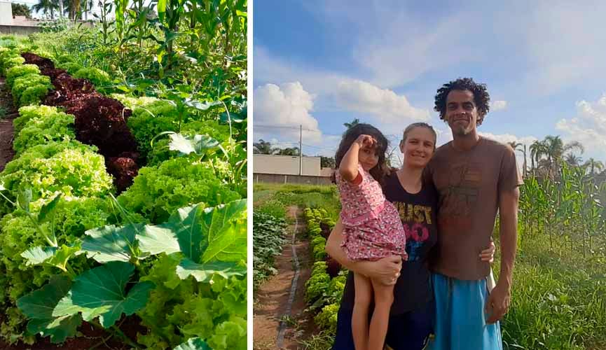 À esquerda, plantação de alfaces; à direita, mulher segura criança no colo e se posiciona em foto ao lado de homem. ambos são agricultores familiares e a plantação deles está ao fundo