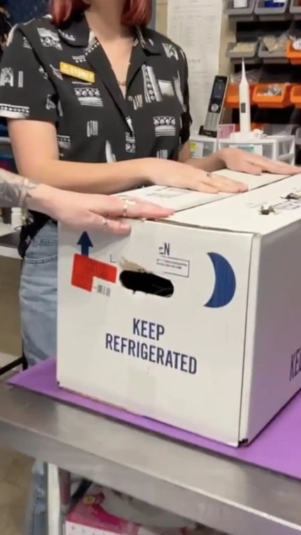 Alguém abandonou dois gatos em uma caixa misteriosa jogada na porta de ONG