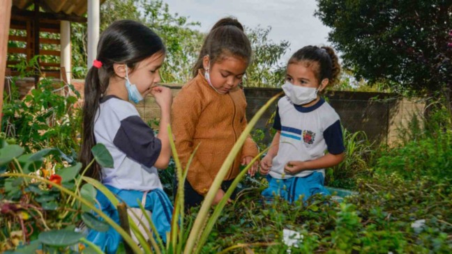 Crianças aprendem sobre alimentação saudável na horta da própria escola (Foto: Prefeitura de Jundiaí)