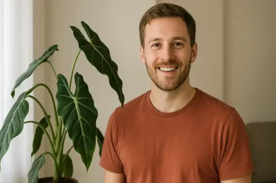 Alocásia com folhas murchas Veja 3 formas de combater