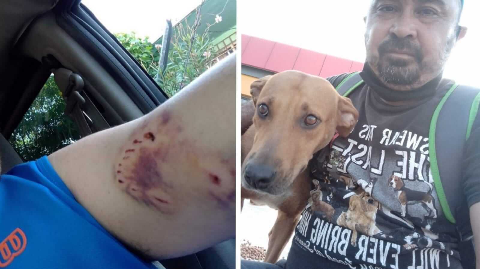 Homem leva mordida de cachorro, mas o resgata