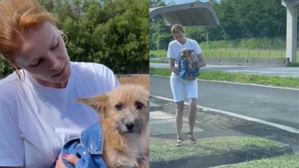 Ana Hickmann resgata cachorro abandonado Ana Hickmann resgata cachorro abandonado