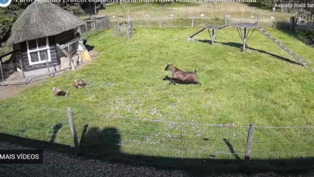 (Foto: Reprodução/Youtube)