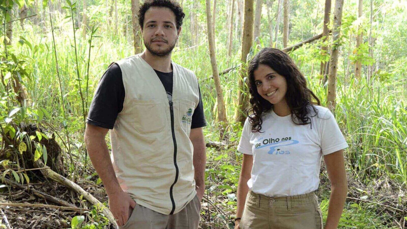 Socorristas resgatam animais silvestres