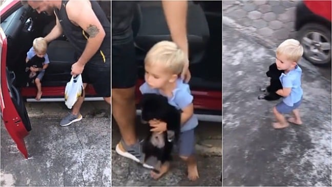 Montagem de fotos de menino carregando filhote de cachorro