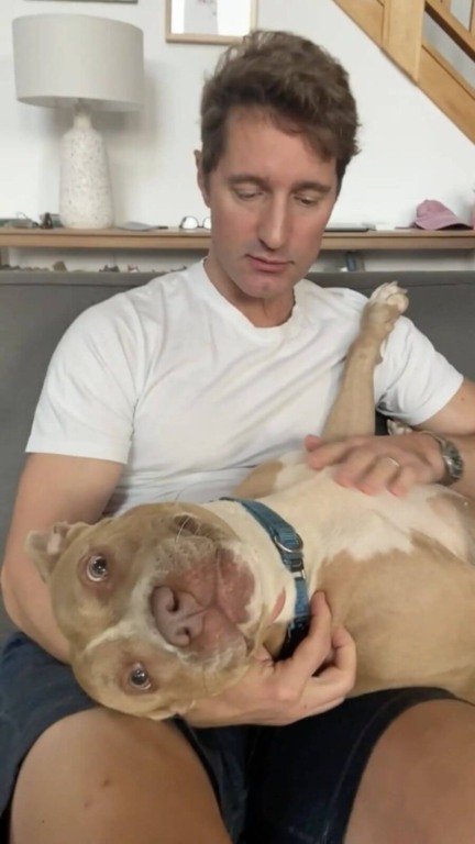 Cachorro sempre espera por seus tutores pacientemente na porta