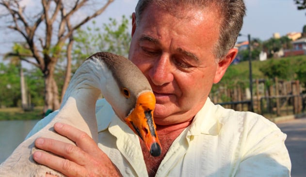 Ele visita todos os dias o ganso chico e é um verdadeiro amigo dos animais