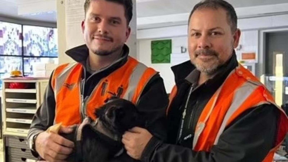 Maquinistas resgatam cachorro em linha de trem
