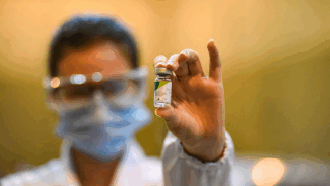 Foto: Divulgação/PMJ