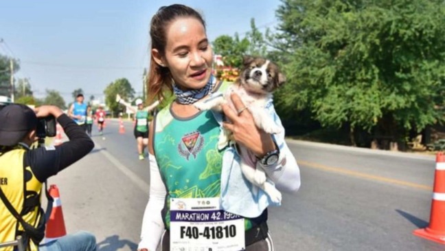 (Foto: Reprodução/portalamigocao)