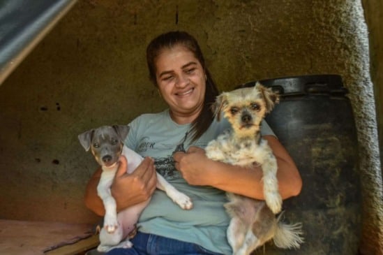 'Focinho Solidário' segue com arrecadação permanente de ração para cães e gatos