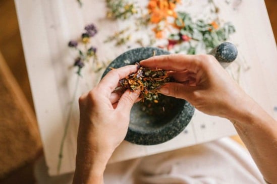 Sesc Jundiaí promove programação especial para o Dia Mundial do Lazer