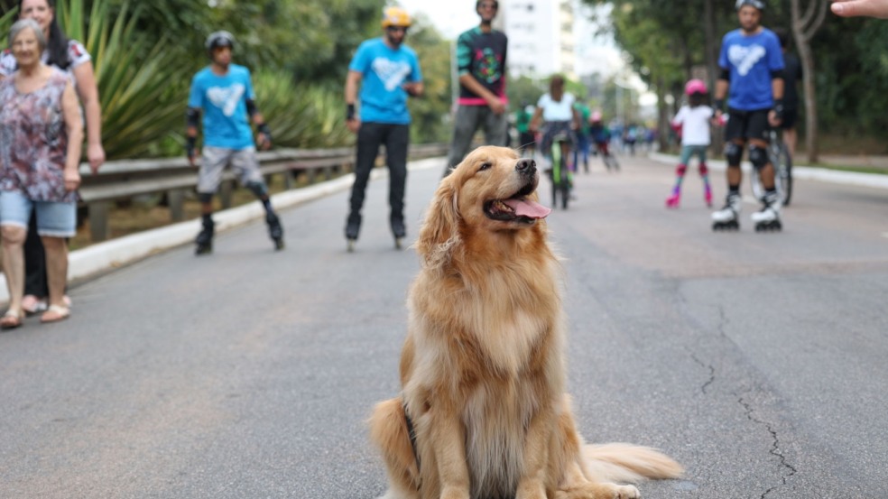 Famílias marcam presença na Avenida Nove de Julho no Mobilidade Saudável e Lazer Famílias marcam presença na Avenida Nove de Julho no Mobilidade Saudável e Lazer