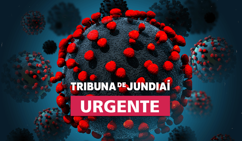 Estrutura viral Estrutura viral