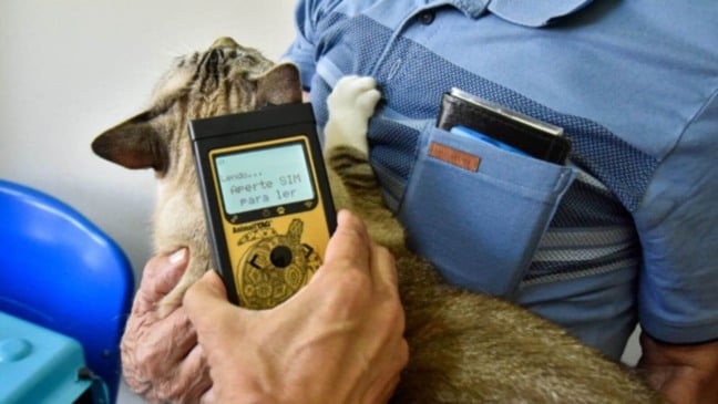 Equipamento de microchipagem auxilia no monitoramento de colônia de gatos em Jundaií