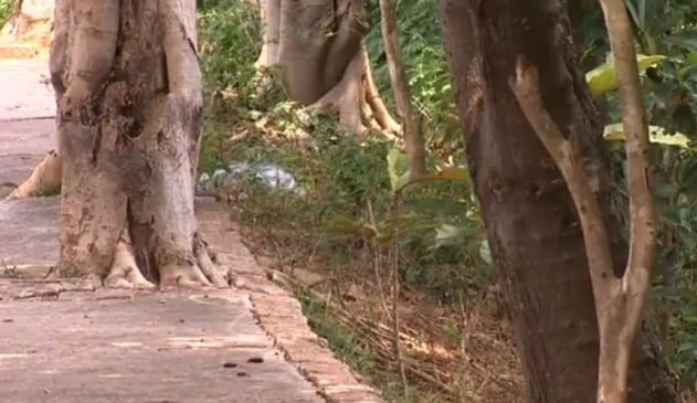 Bebê morta em Várzea Paulista foi arremessada de uma altura de 7 metros, segundo polícia