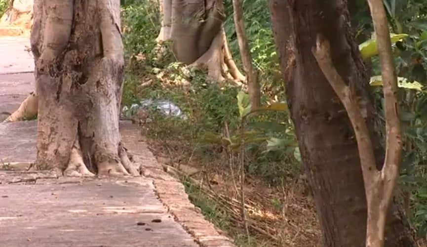 Bebê morta em Várzea Paulista foi arremessada de uma altura de 7 metros, segundo polícia