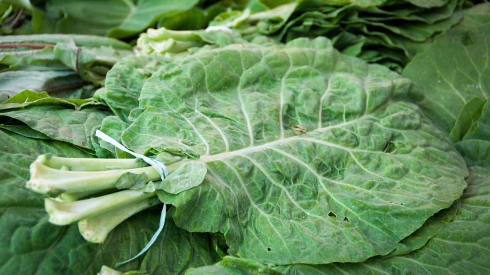 (Foto: dabldy/Canva)