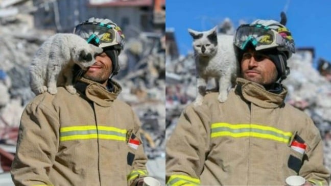 Bombeiro adota gatinho