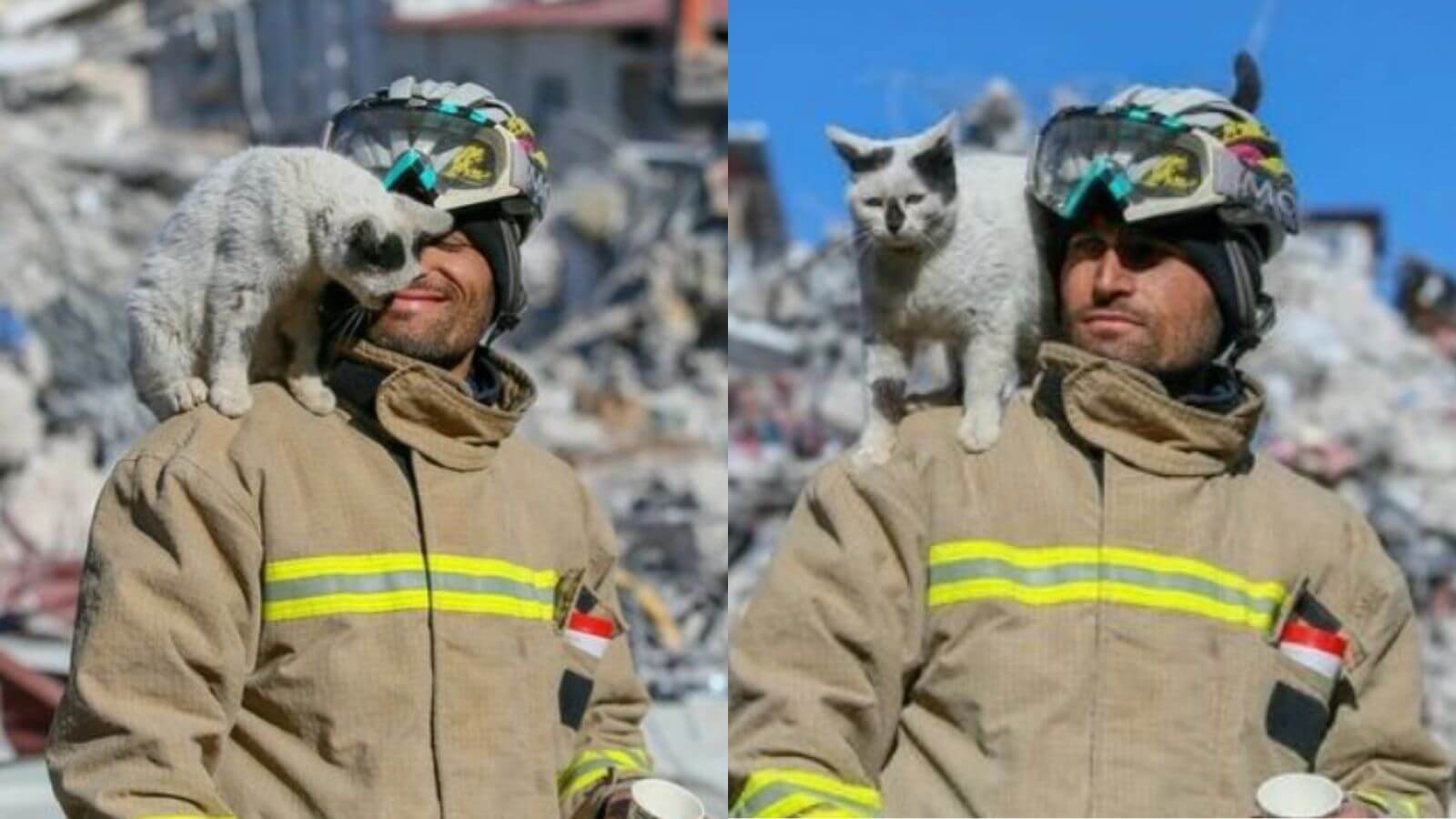 Bombeiro adota gatinho