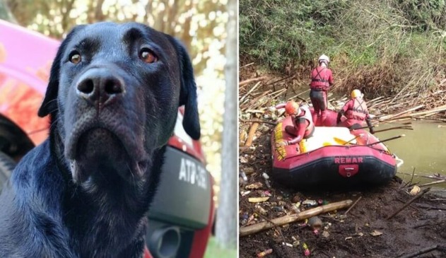 Corpo do cachorro Barney é encontrado
