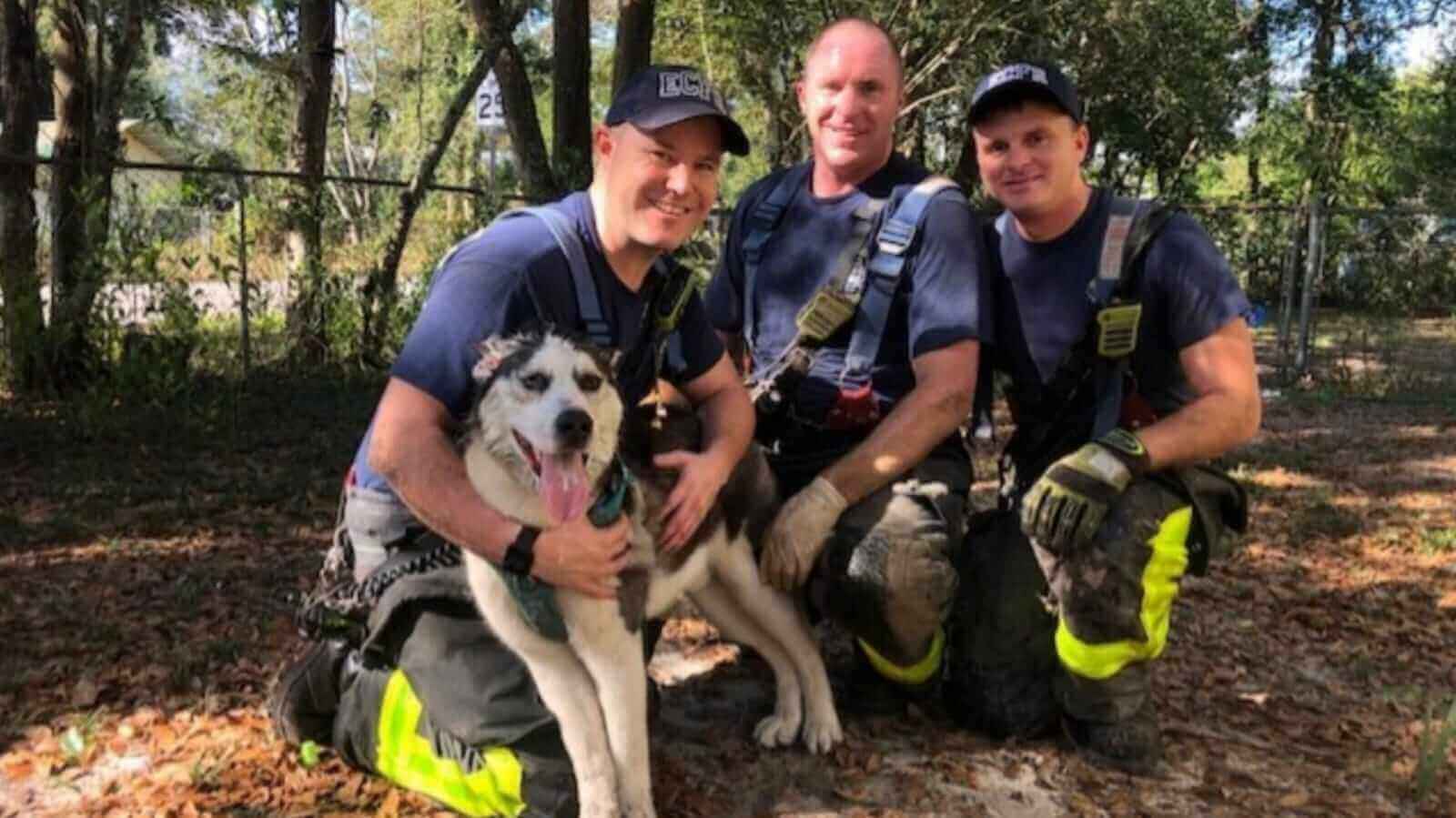 Bombeiros com cachorro