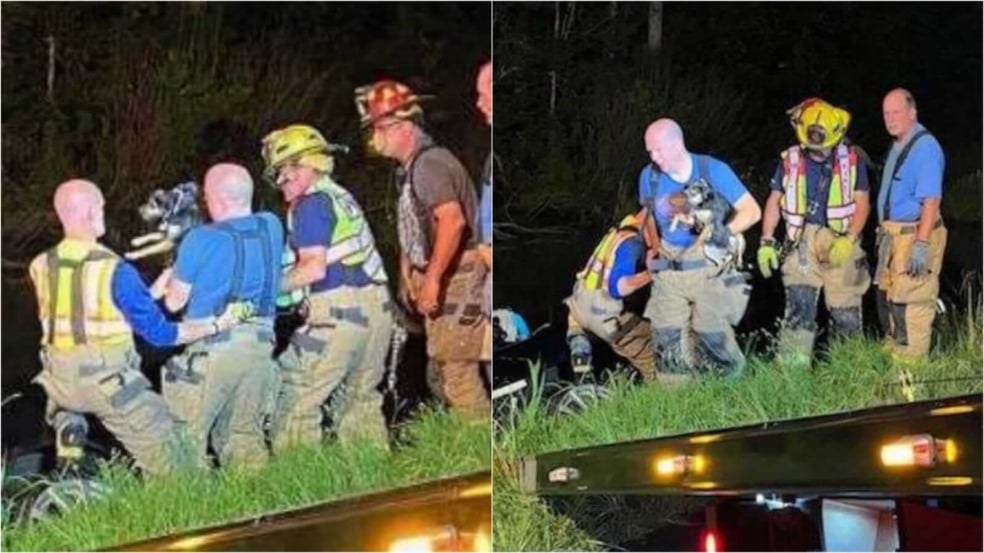 Bombeiros resgatando cachorro de carro submerso