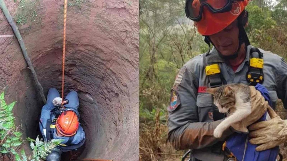 (Foto: Corpo de Bombeiros/Divulgação)
