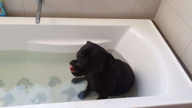 (Foto: Reprodução/catiororeflexivo)