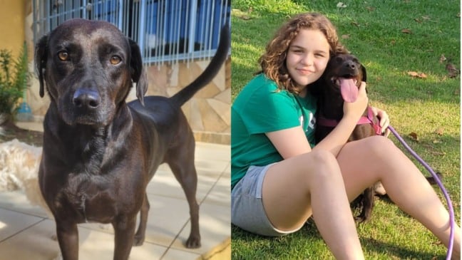Cachorro preto e menina abraçando ele em outra foto