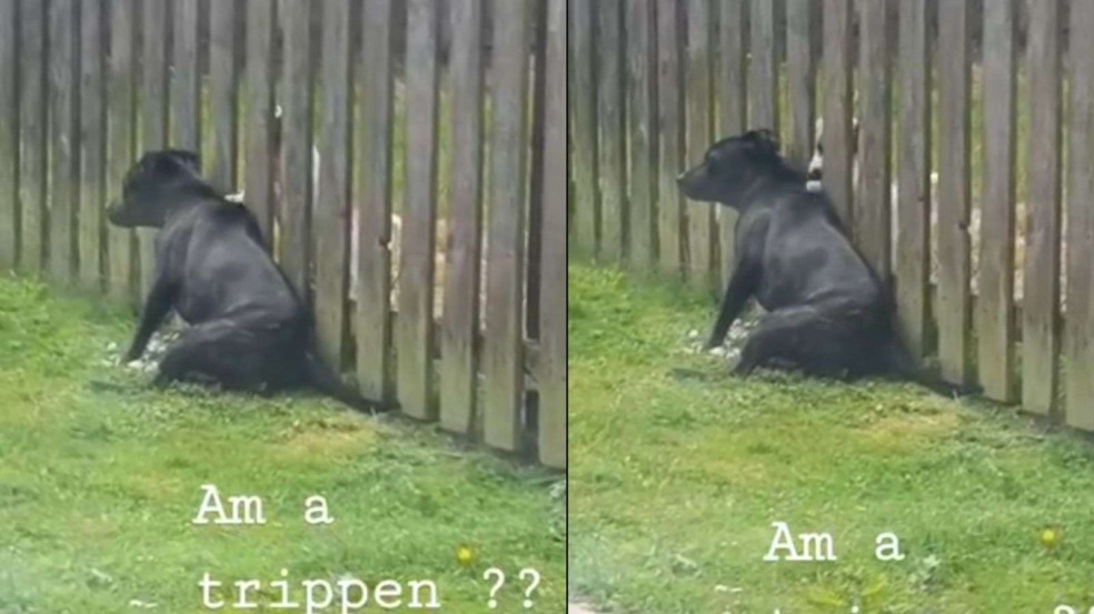 (Foto: reprodução/Facebook)