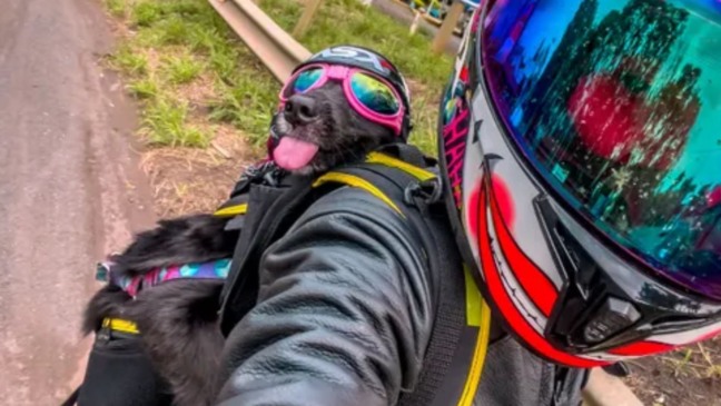 Foto: Reprodução/Instagram