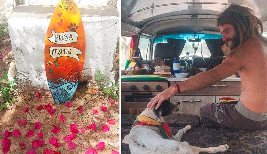 Hugo fez uma homenagem à Brisa após sua morte, entalhando uma prancha no lugar onde ela foi enterrada