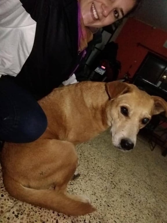 Mulher tirando foto com cachorro