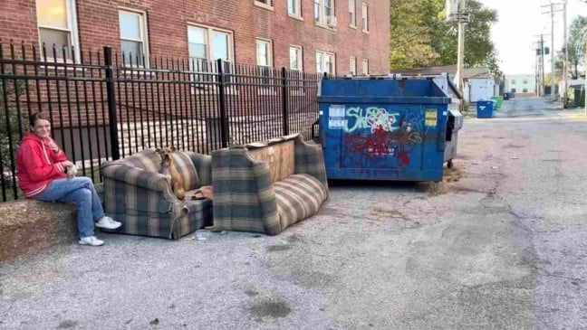 (Foto: Reprodução/Resgate Stray de St. Louis)