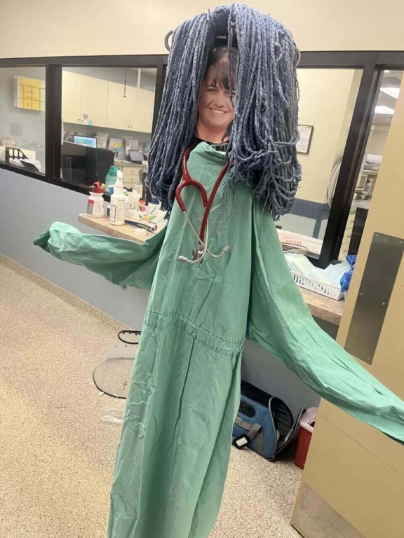 montagem de veterinária