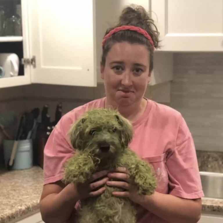 Mulher com cachorro verde