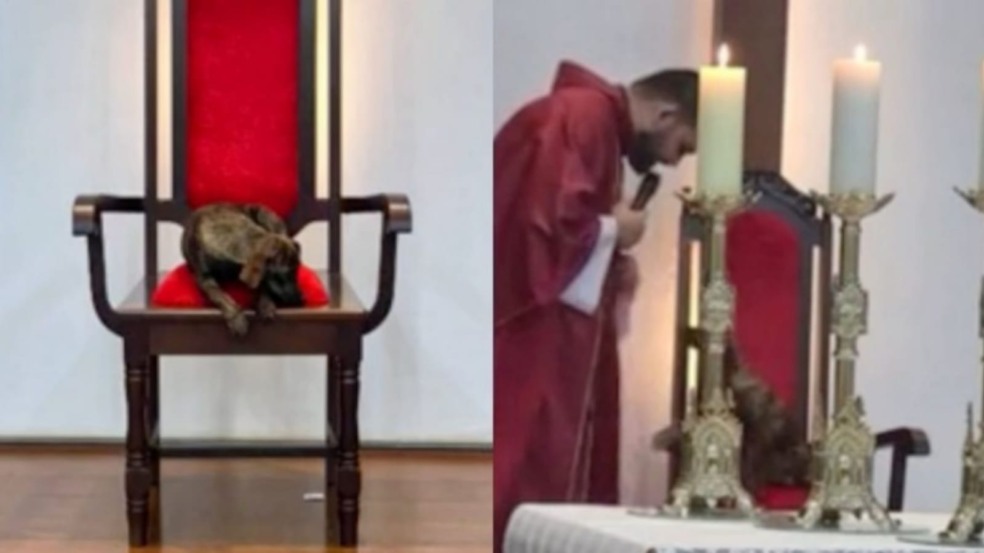 Cachorro em missa