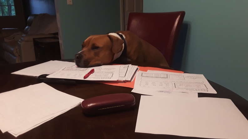 (Foto: reprodução/catiororeflexivo)