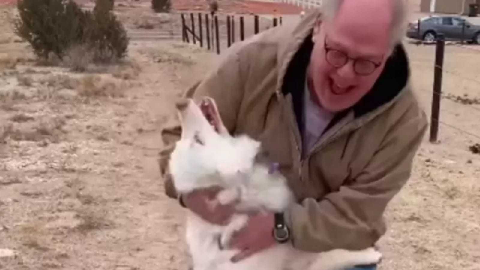 Idoso abraçando cachorro