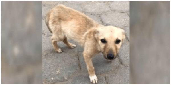 Foto: Arquivo Pessoal