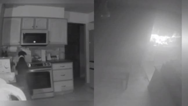 Cachorro apoiado em fogão causa incêndio