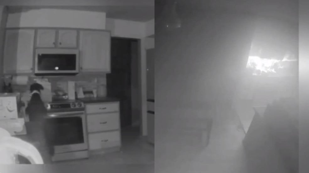 Cachorro apoiado em fogão causa incêndio