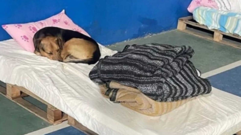 Foto: Prefeitura de Várzea Paulista