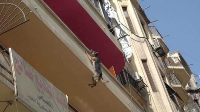 Cachorro pendurado em varanda