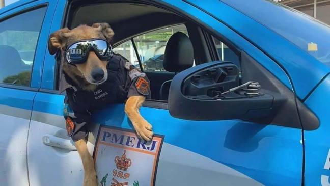 Foto: Reprodução/Instagram/@oliveira17bpm